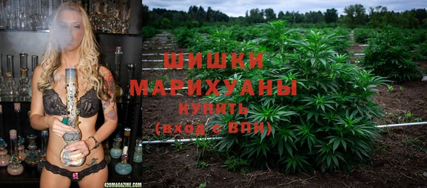 амф Бородино