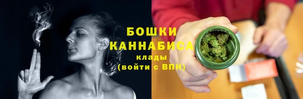 амф Бородино
