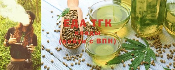 амф Бородино