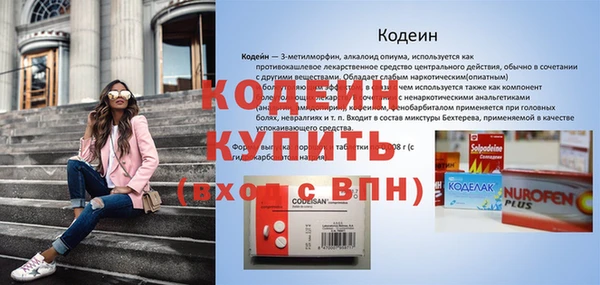 амф Бородино