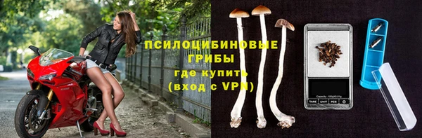 амф Бородино